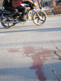 女子遭轿车拖行1700米死亡(组图)