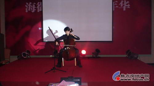 委婉深情的大提琴演奏