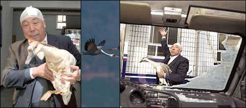 捍卫生命安全 揪出你身边的马路流氓