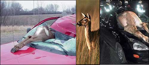 捍卫生命安全 揪出你身边的马路流氓