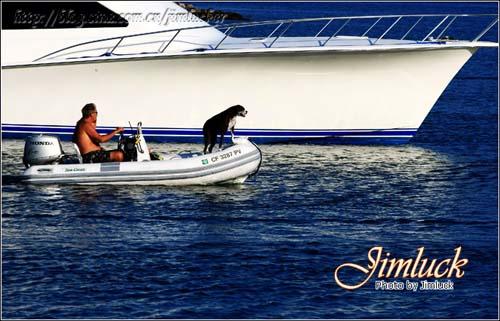 蓝色港湾里，一大一小两艘游船齐齐驶向大海。