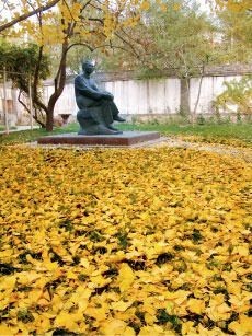 京秋最后的金黄诱惑 踏最美银杏林赏叶(图)(8)