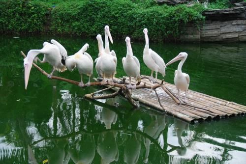 疯玩到底 亚运广州几大周边撒欢游推荐