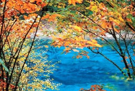 “枫”景四川独好 覆盖全川自驾游线路