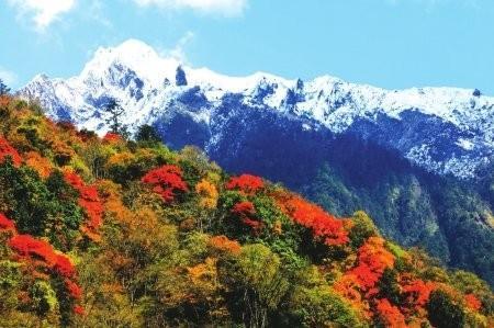 “枫”景四川独好 覆盖全川自驾游线路(3)