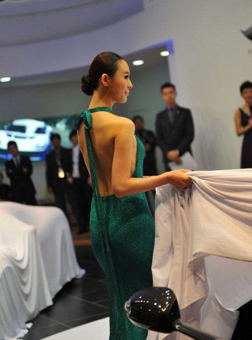 甄子丹/兽兽领衔 8大娱乐名人亮相广州车展(2)