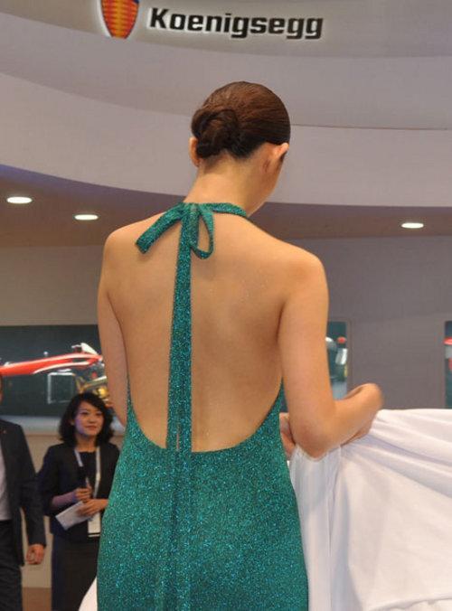 甄子丹/兽兽领衔 8大娱乐名人亮相广州车展(2)