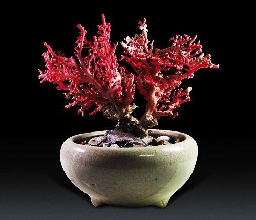 海南体味初夏温暖　海南自驾全攻略\(6\)