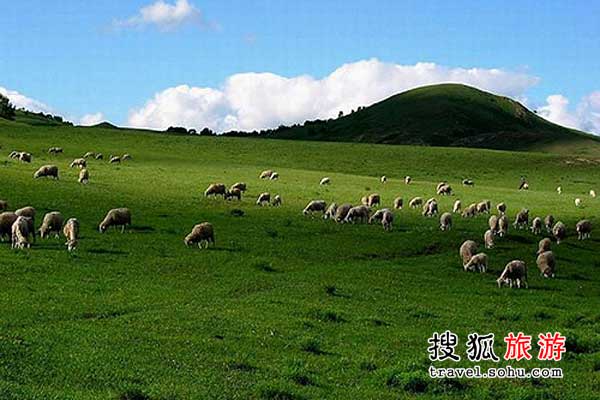 网友推荐各景点防骗必看补充说明