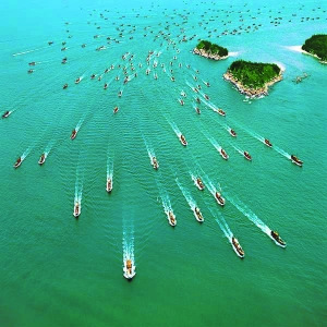 有趣的游艺项目 有趣的游艺项目