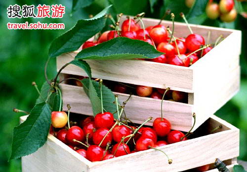 台湖第五生产队