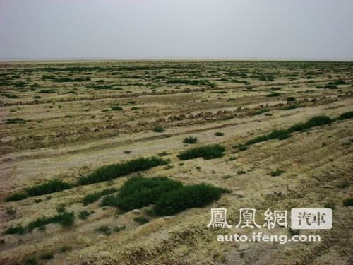 自驾查干淖尔生态游 体验“生态和平亚洲”之旅(3)