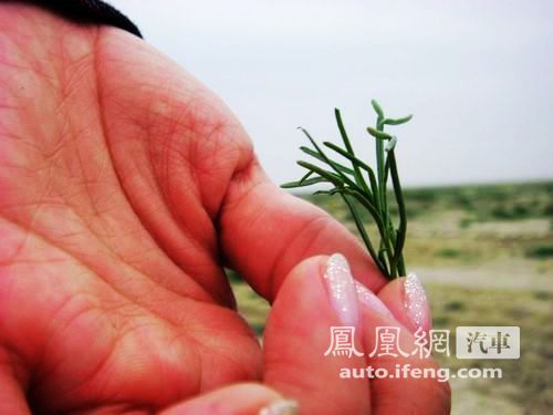 自驾查干淖尔生态游 体验“生态和平亚洲”之旅(3)