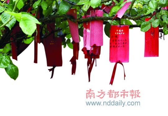 新春祈福游 新春祈福游